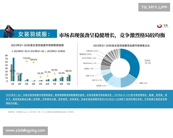 波司登平价品牌雪中飞收入增长9.2% 挤压高端羽绒服市场份额 波司登平价品牌雪中飞收入增长9.2% 挤压高端羽绒服市场份额